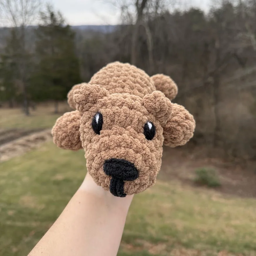 bear sploot front.jpg