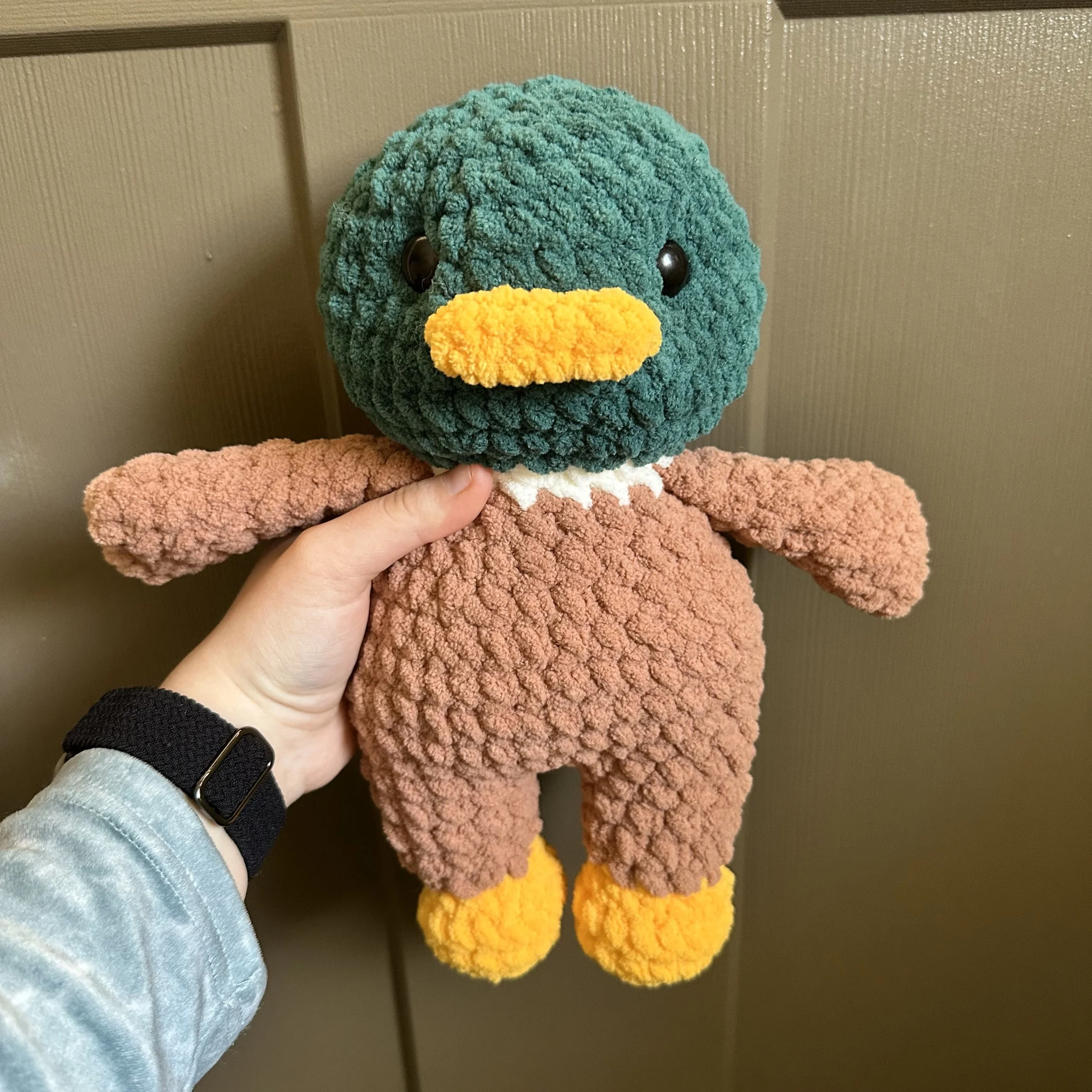 duck mallard.jpg