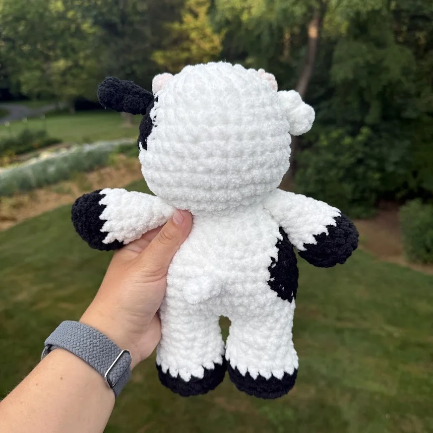 b&w cow back.jpg