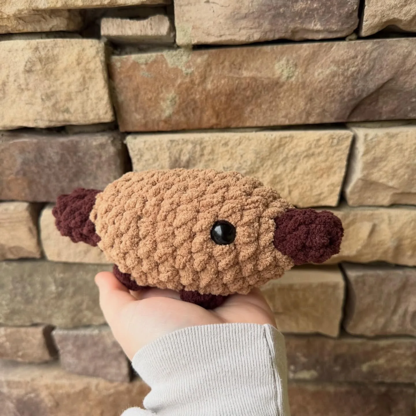 A platypus? PERRY the platypus! 

New platypus buddies coming soon!