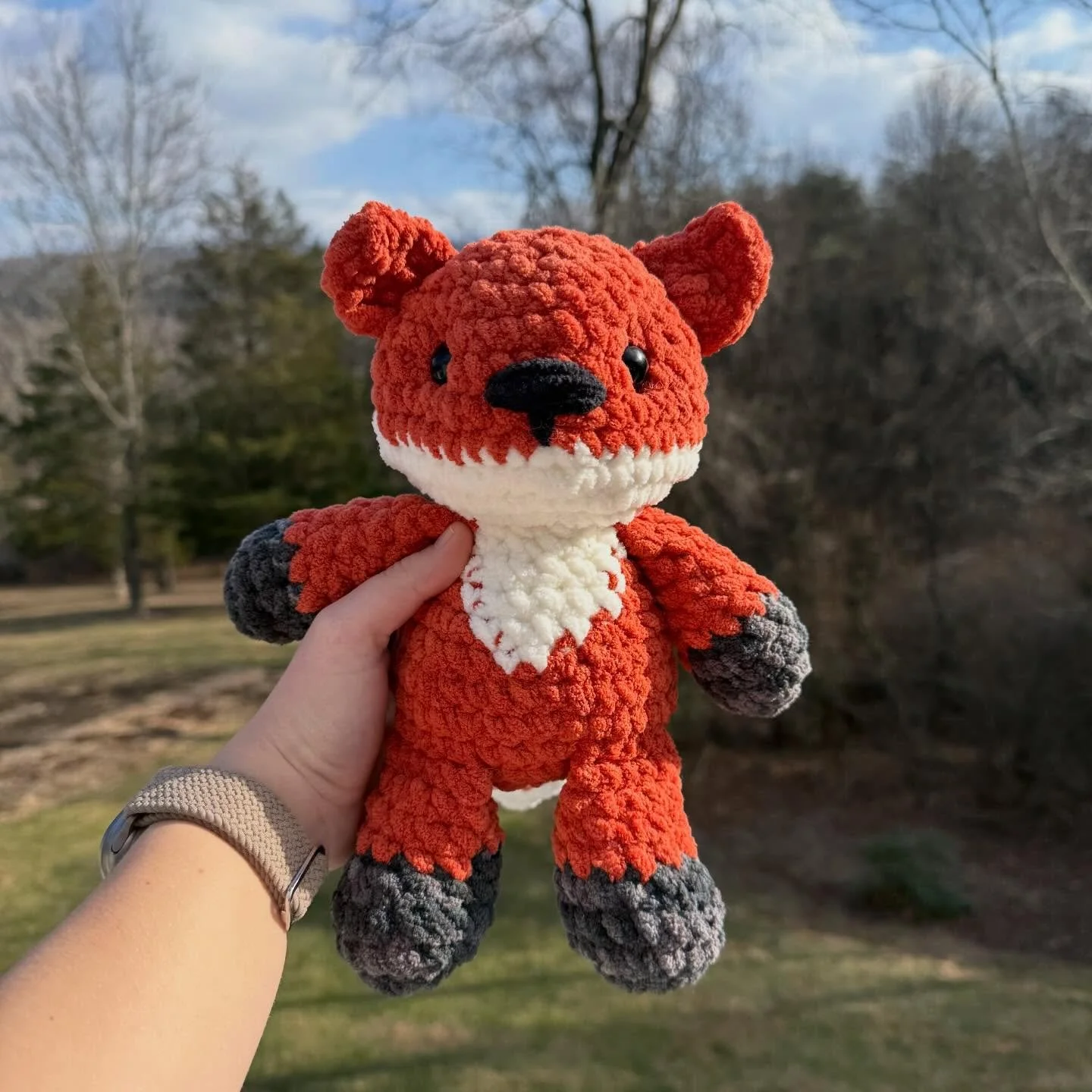 Never posted my foxes from winter break 🦊