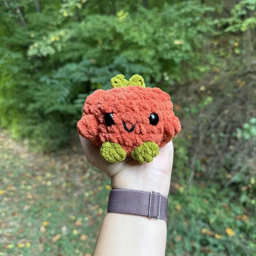 Pumpkin Buddy