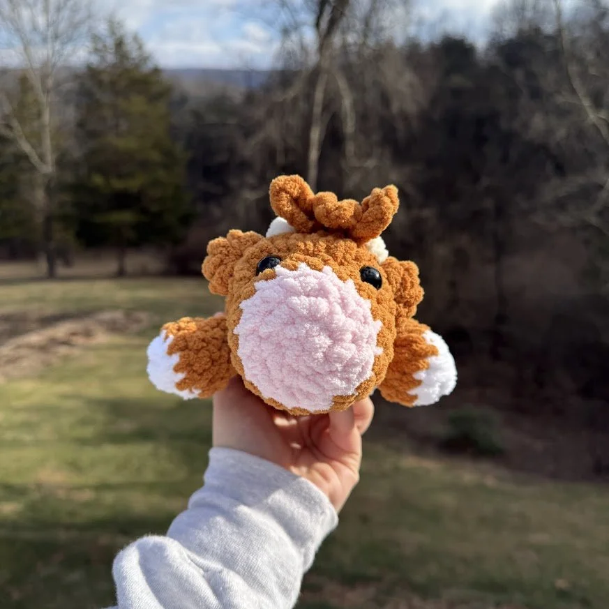 highland sploot front.jpg