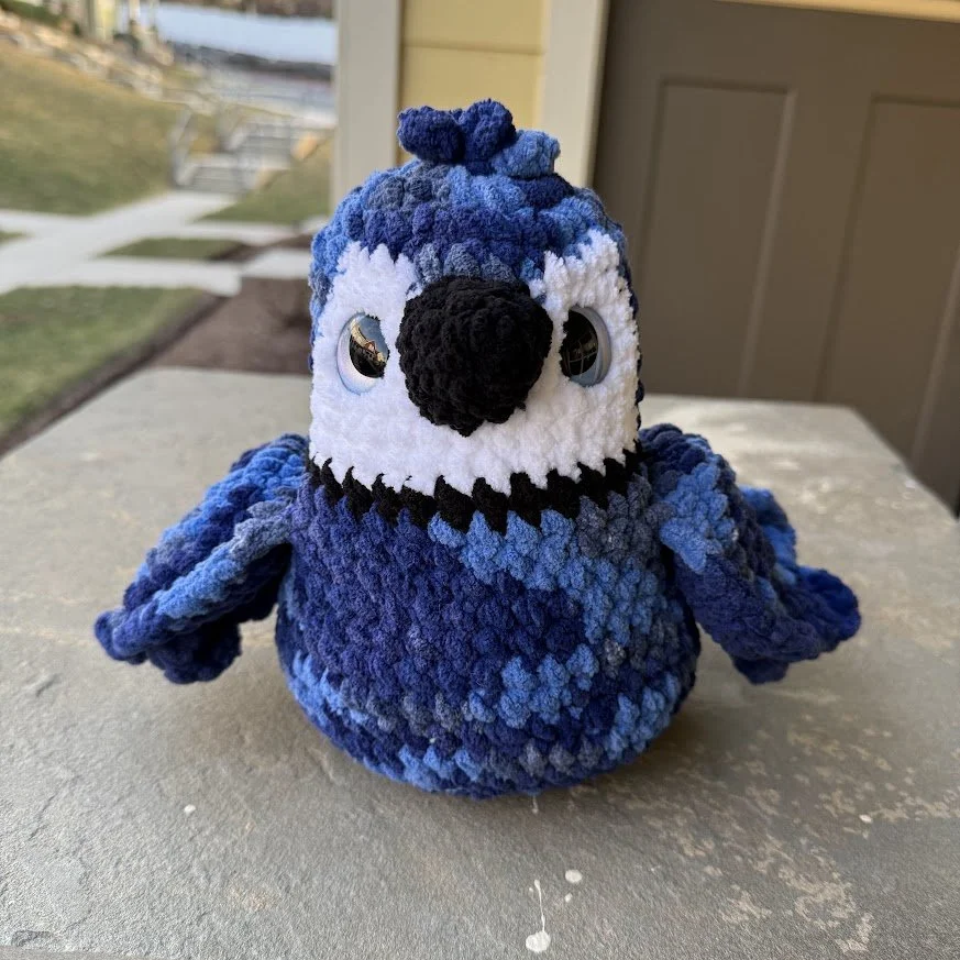 j blue jay front.jpg