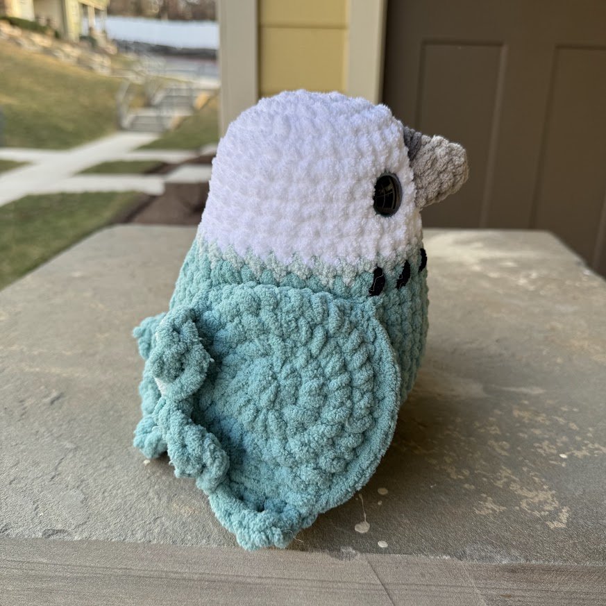 j blue budgie side.jpg