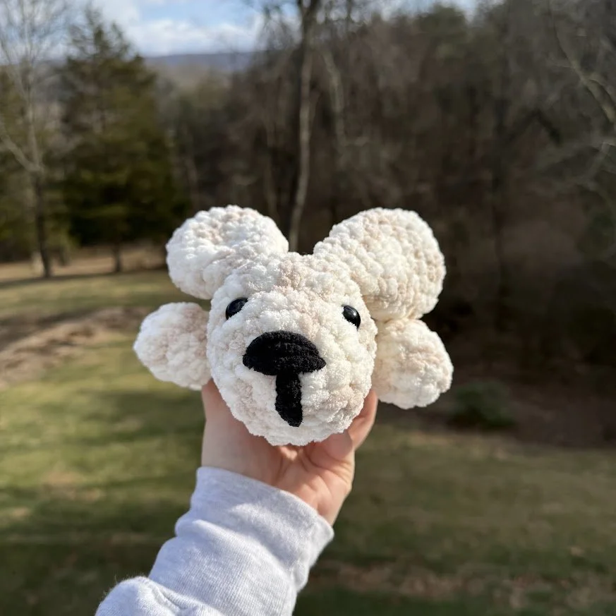 sploot bunny front.jpg