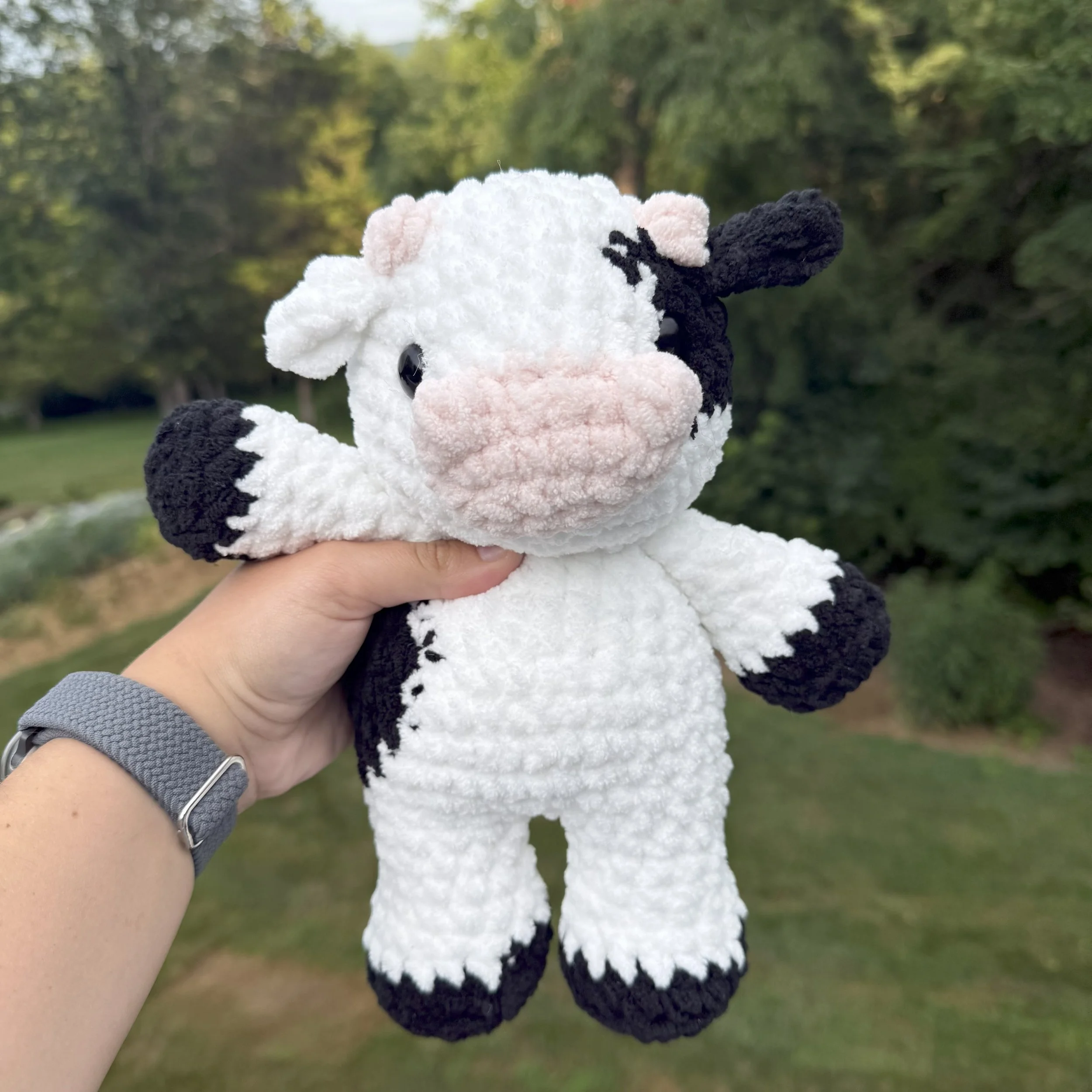 b&w cow.jpg