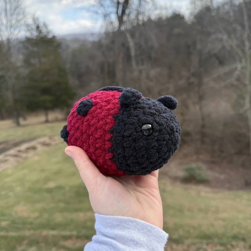 Chubby Ladybug