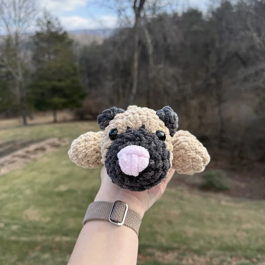 sploot pug front.jpg