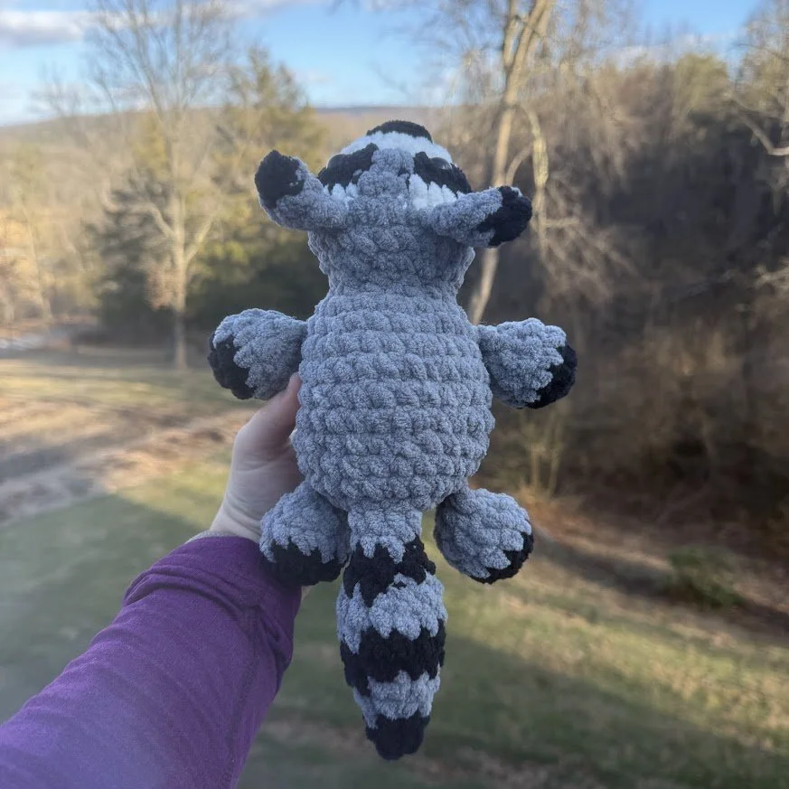 sploot raccoon top.jpg