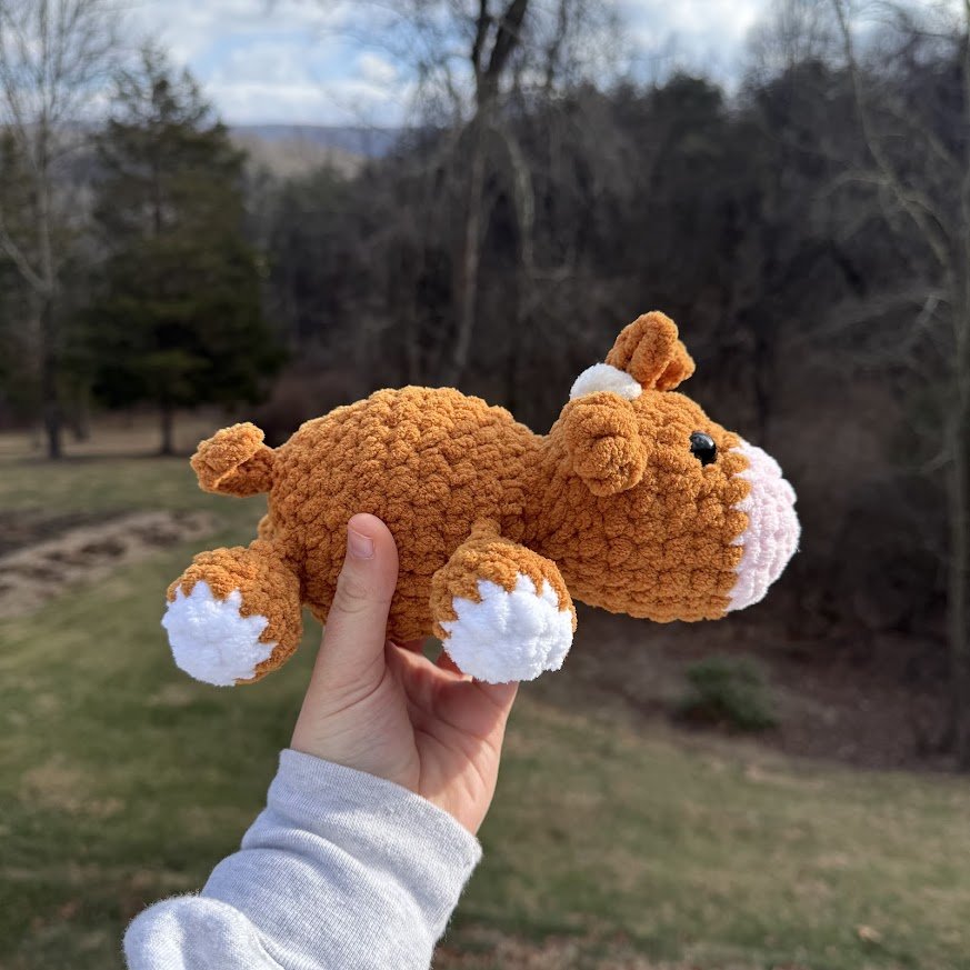 highland sploot side.jpg