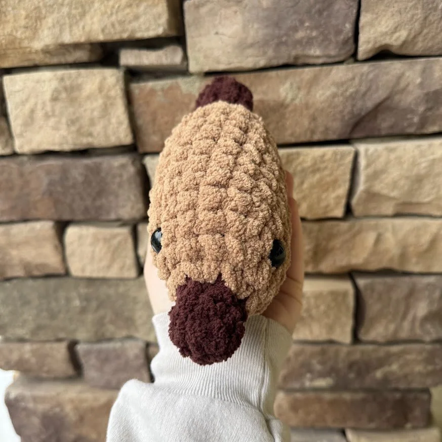 brown platy front.jpg