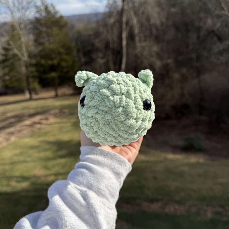 caterpillar front.jpg