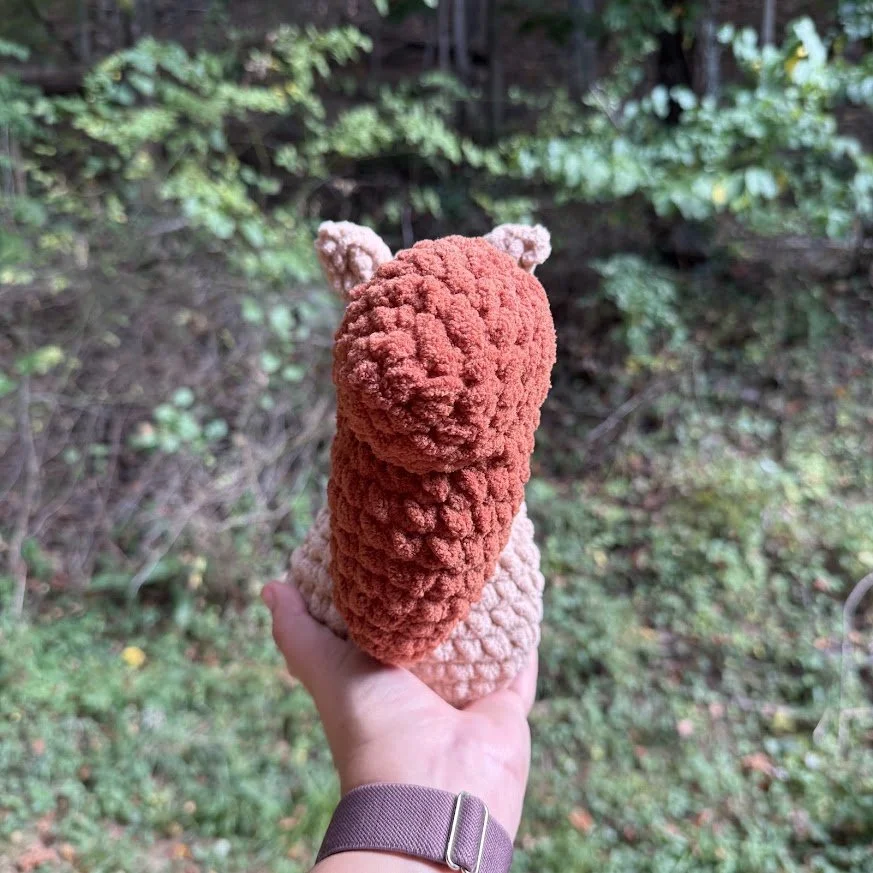 squirrel back.jpg