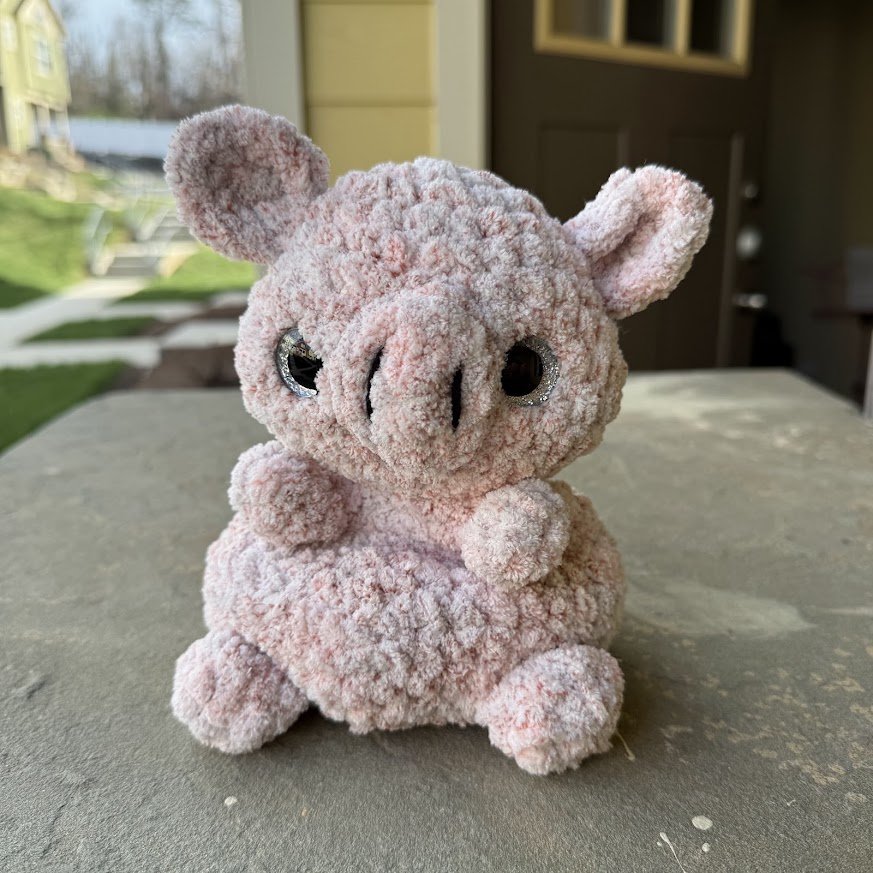 beanie pig.jpg