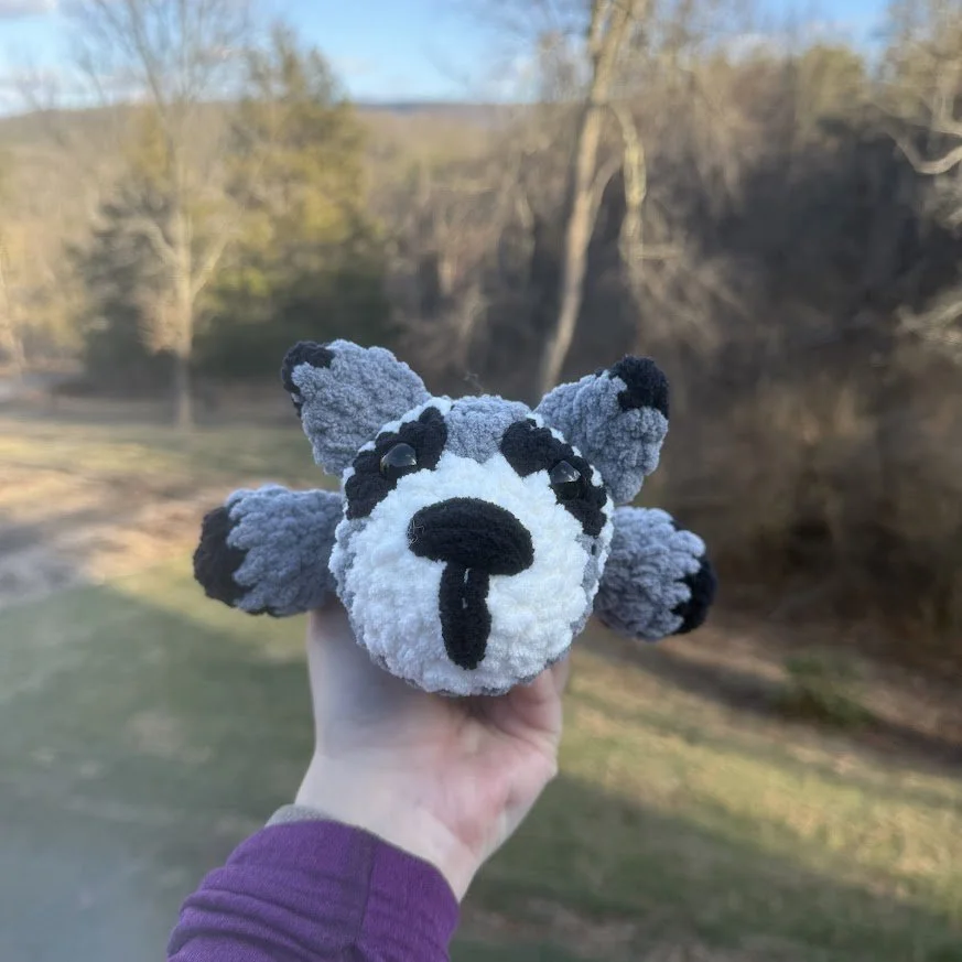 sploot raccoon front.jpg