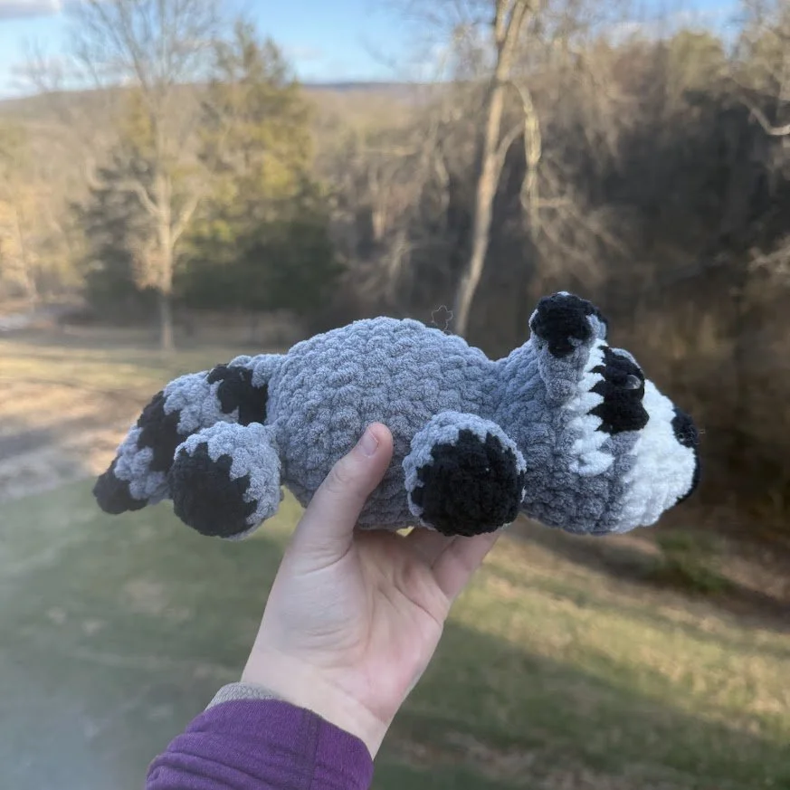 sploot raccoon side.jpg