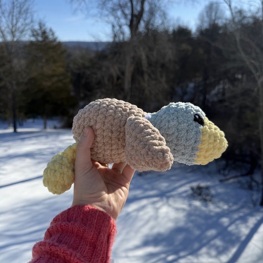 sploot mallard side.jpg