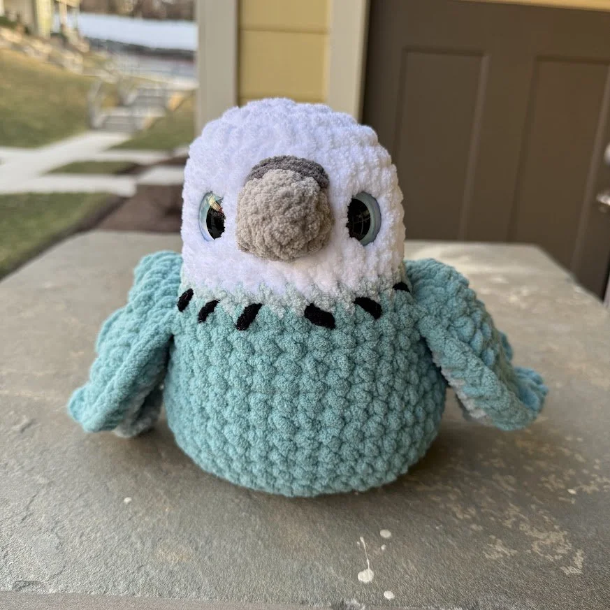 j blue budgie front.jpg