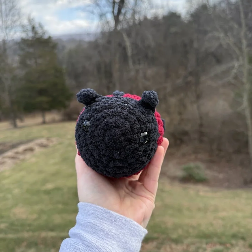 ladybug front.jpg