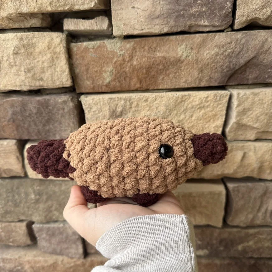 brown platy side.jpg