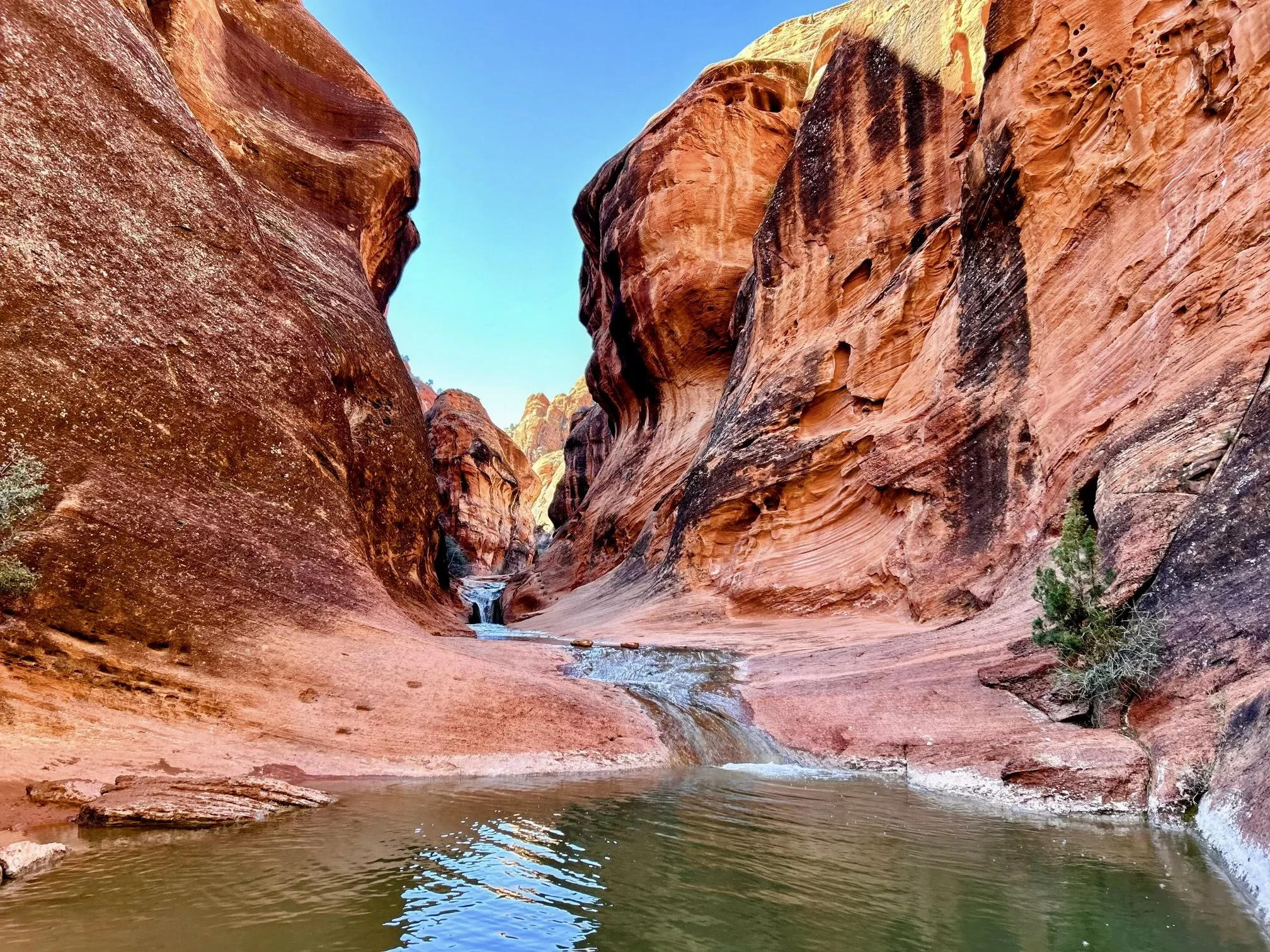 Red Cliffs National Conservation Area, by Whitney Glad