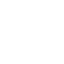 Icon of a globe with latitude and longitude lines.