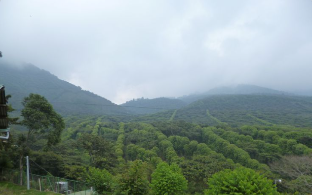 Hacienda Los Naranjos