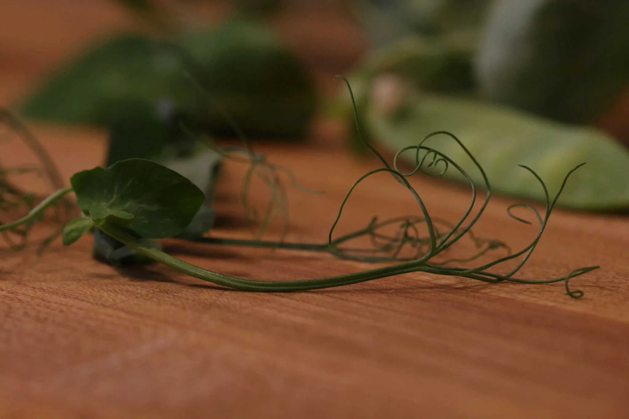 Pea, Tendril