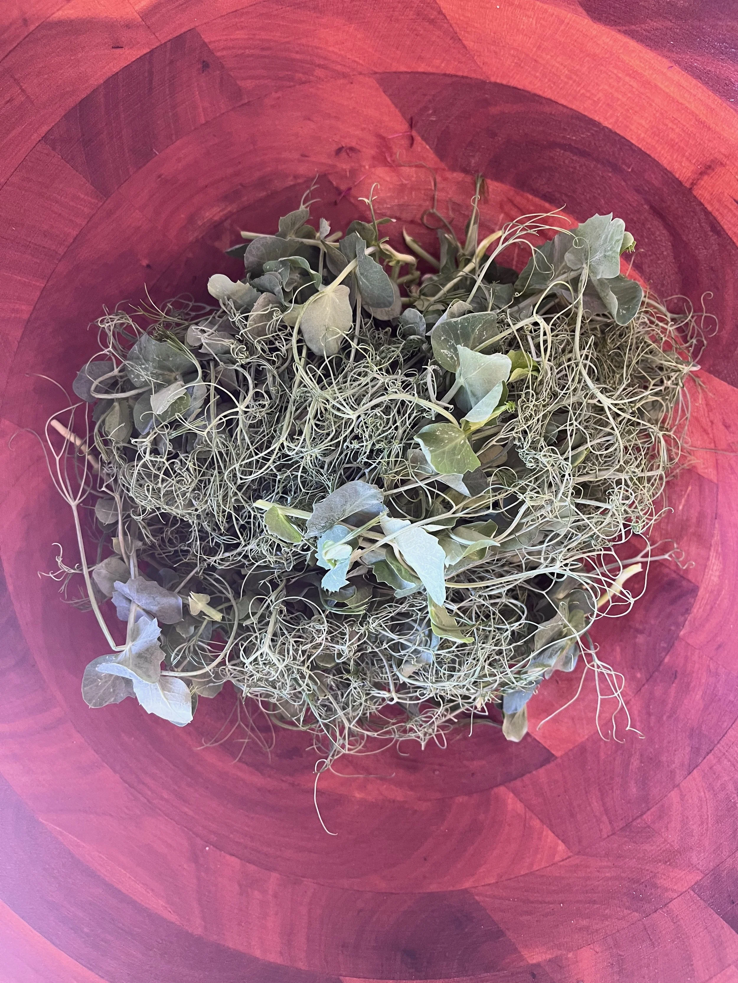 Pea Tendrils.jpeg