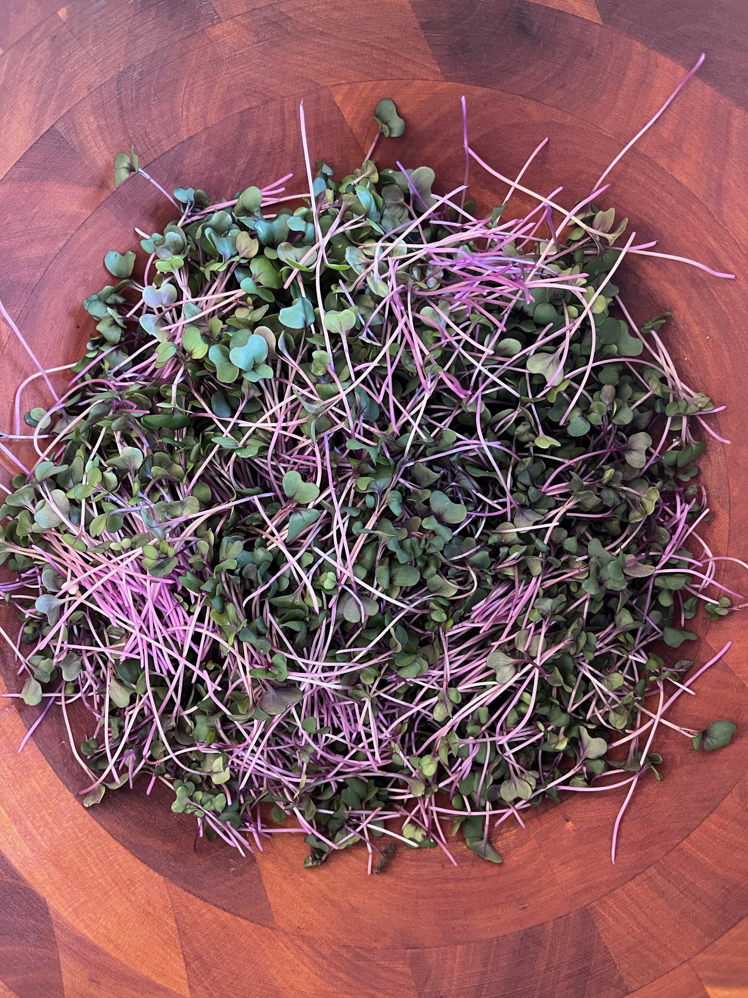Red Acre Cabbage.jpeg