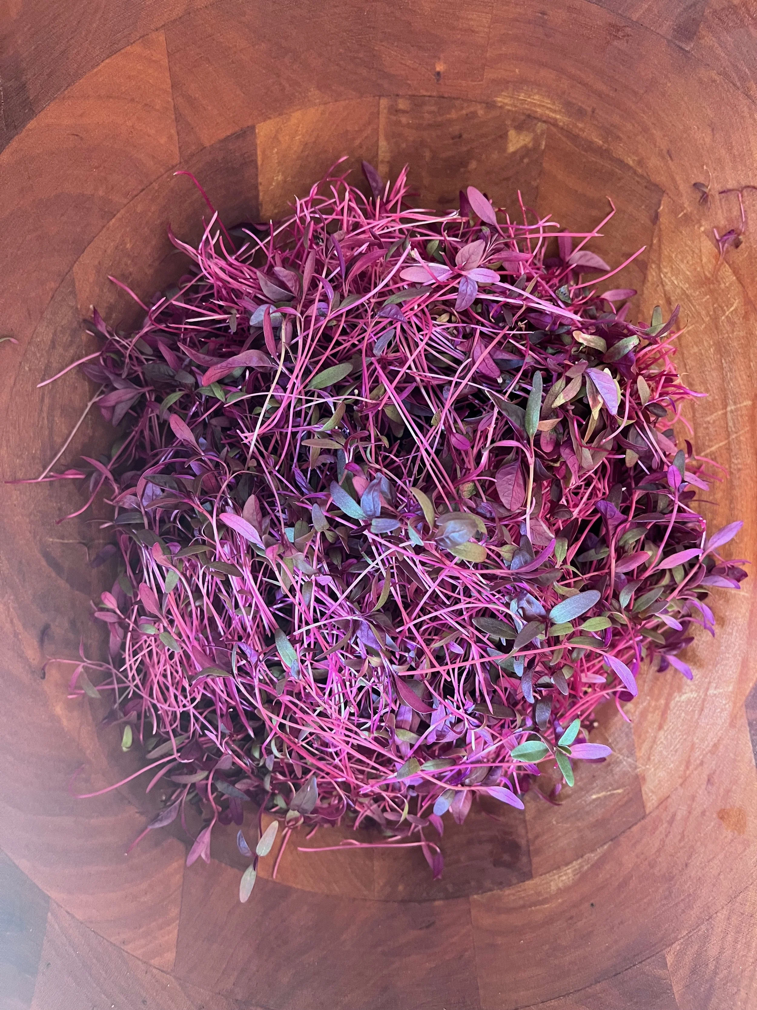 Amaranth