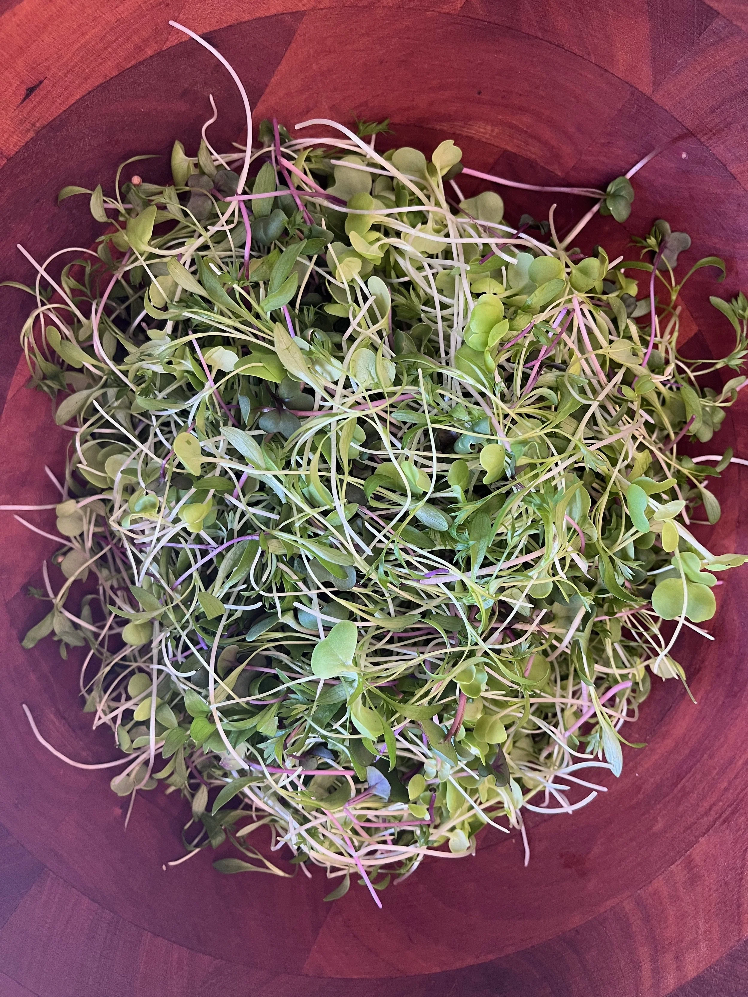 Taco Mix
