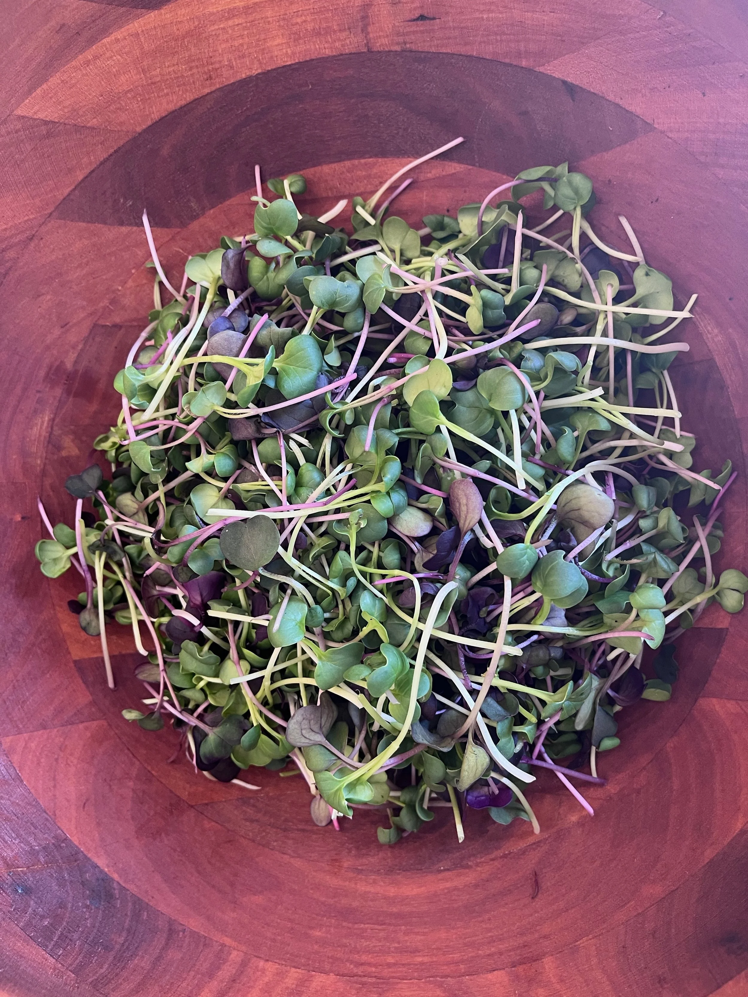 Radish Trio Mix