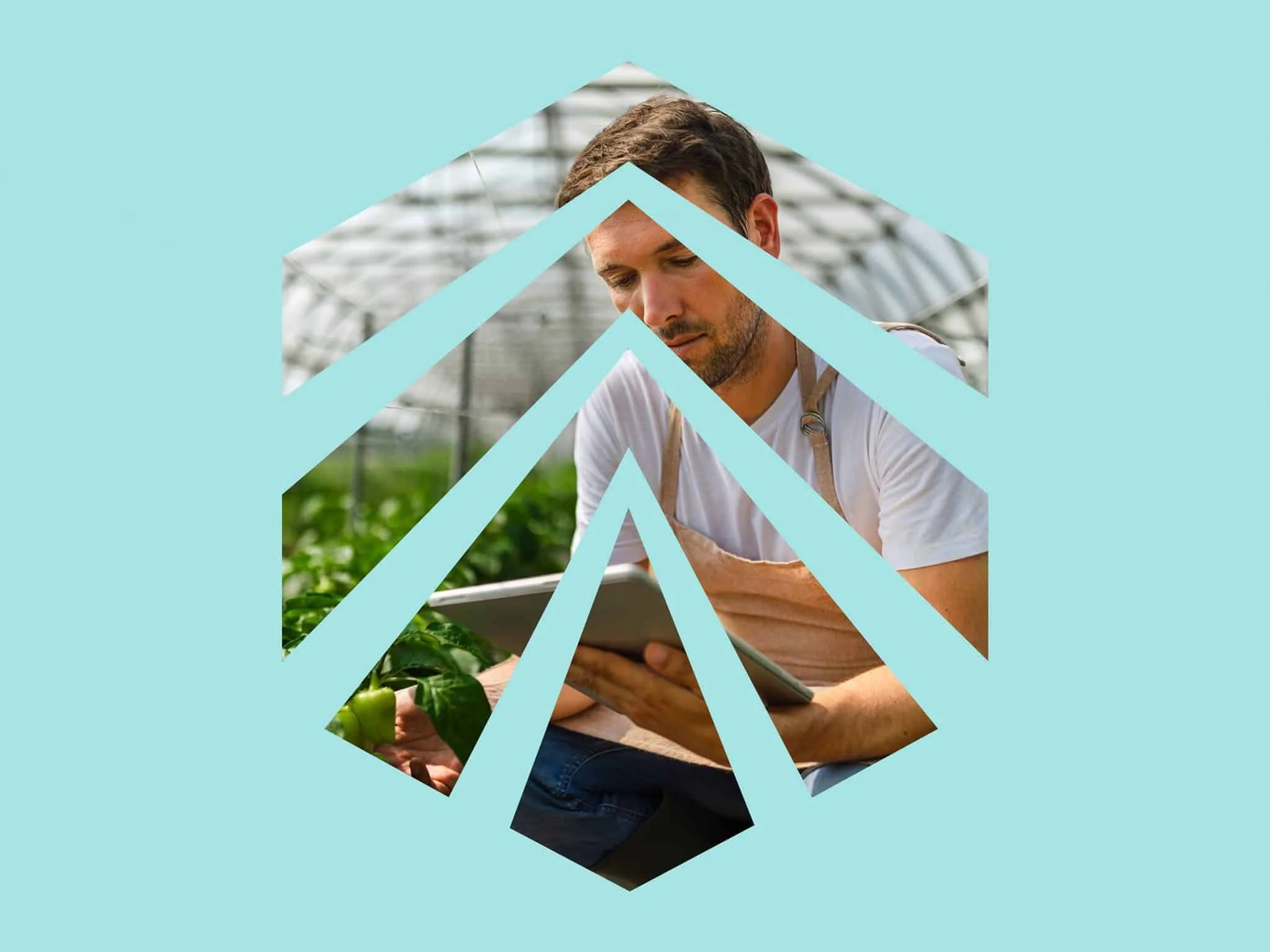 Trustwell: Naming and Brand Strategy for a Leader in Food Safety and Traceability