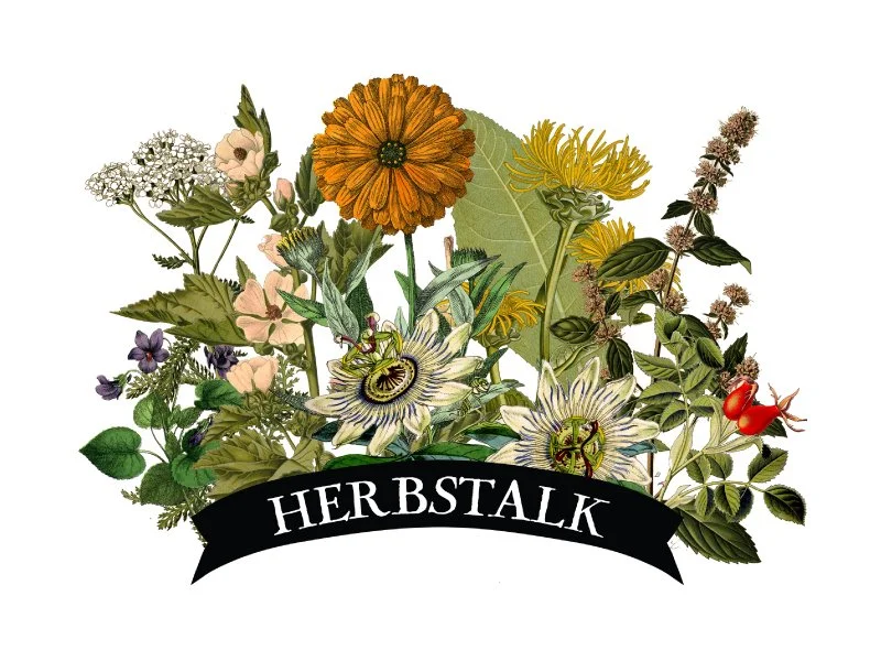 Herbstalk 2026