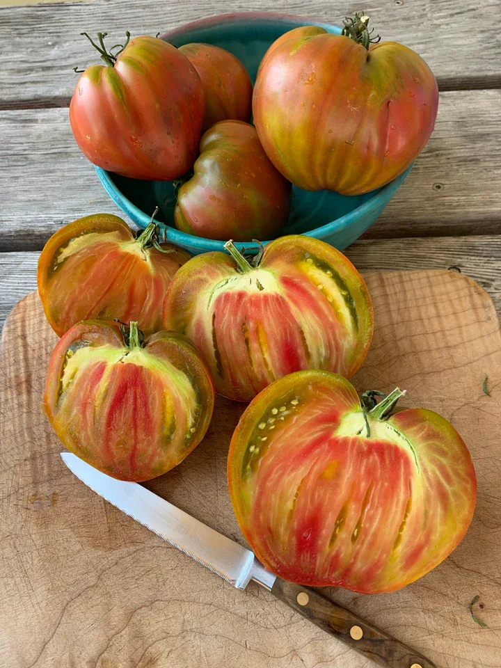Taiga Tomato 4" pot