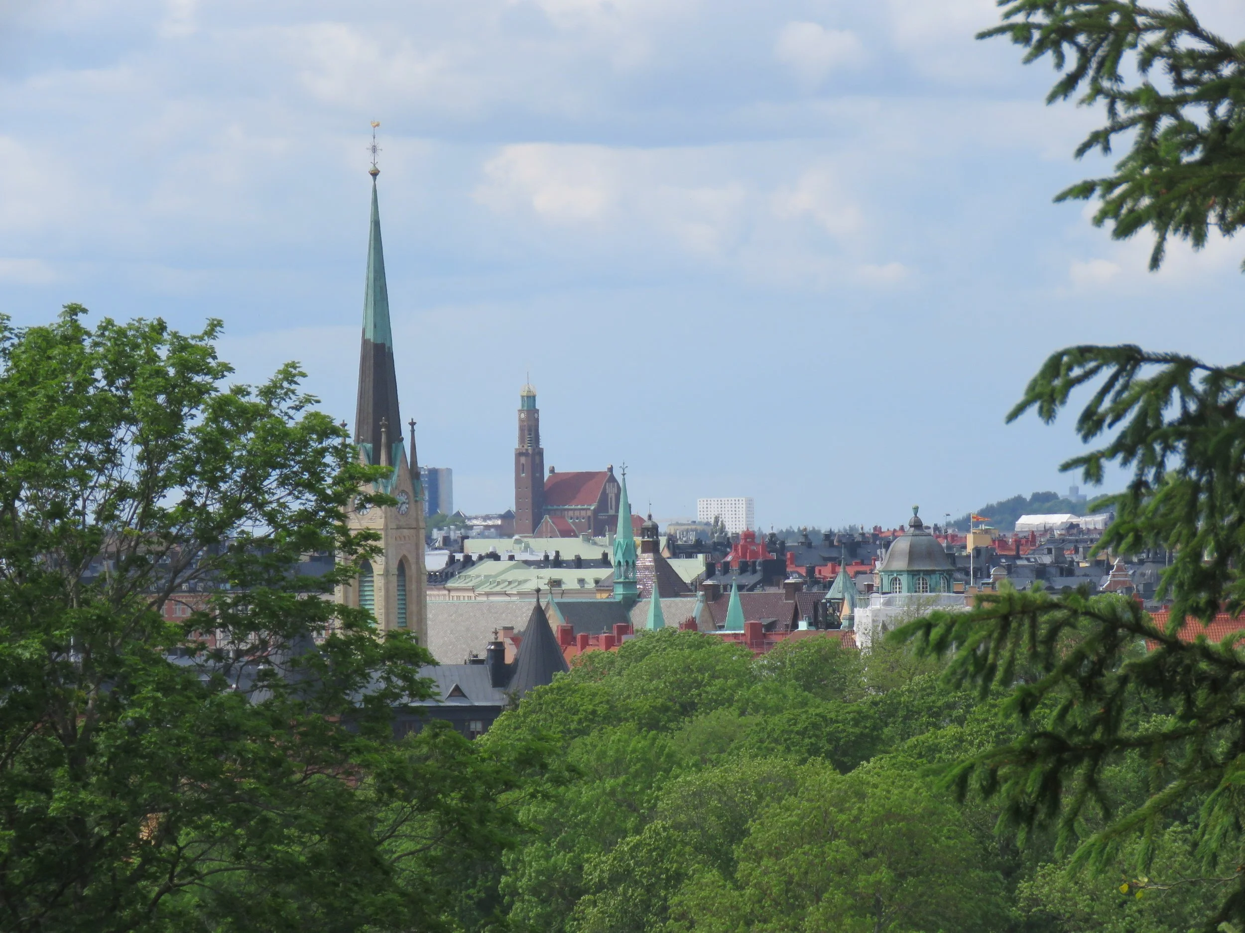 IMG_1385.JPG