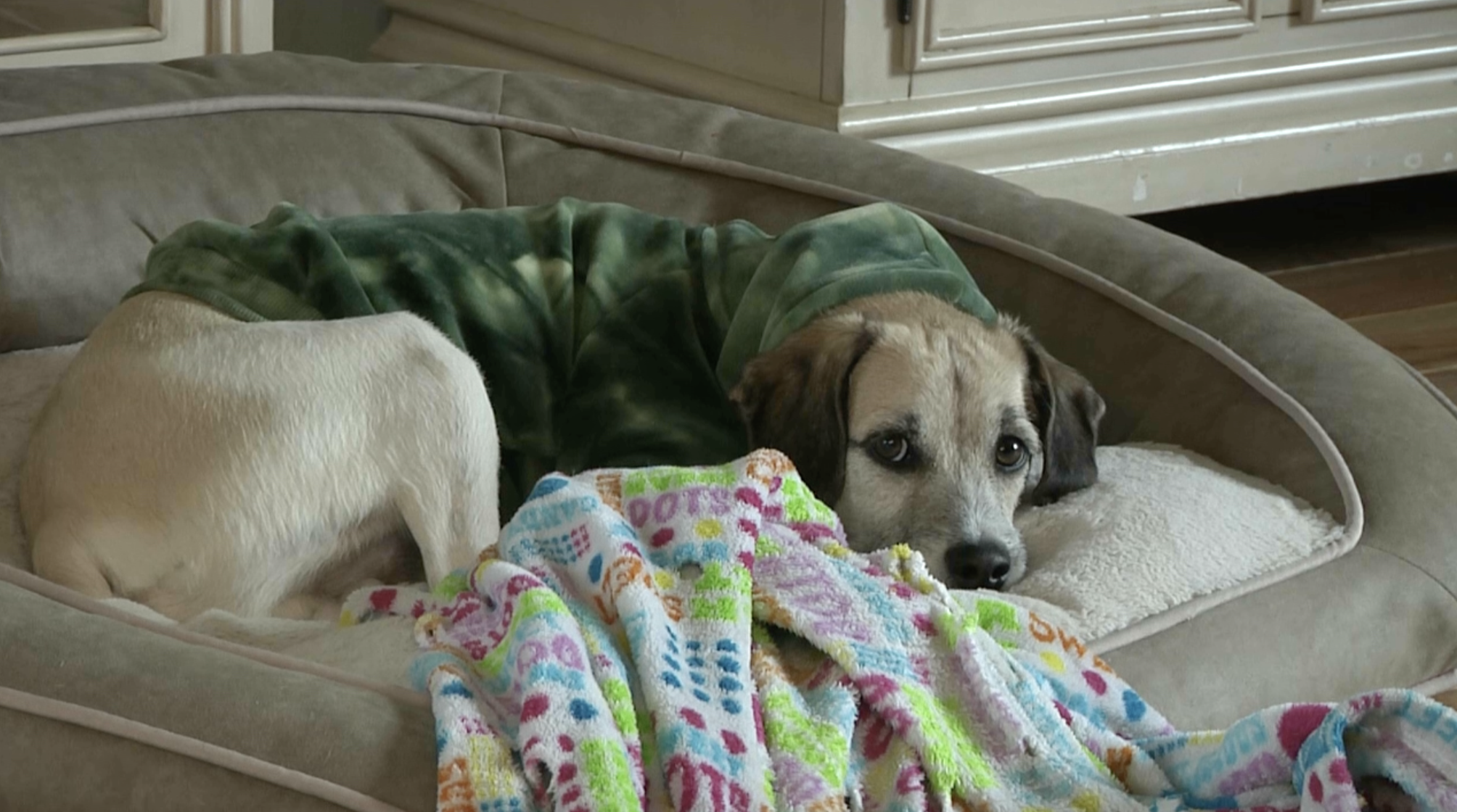 Screenshot 2026-03-10 at 4.47.32 PM.png