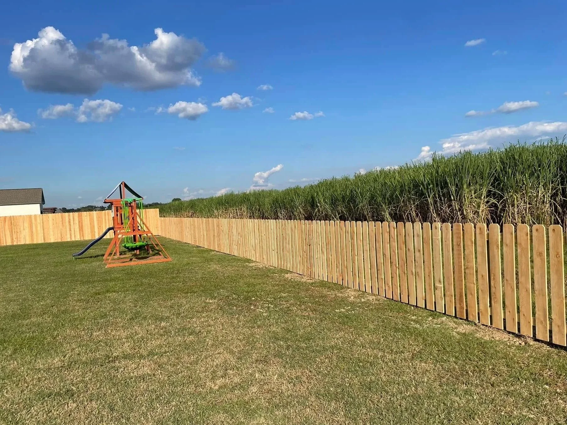 A backyard with a wooden fence, a small playground slide, green grass, a tall green sugarcane field, and a blue sky with scattered clouds.