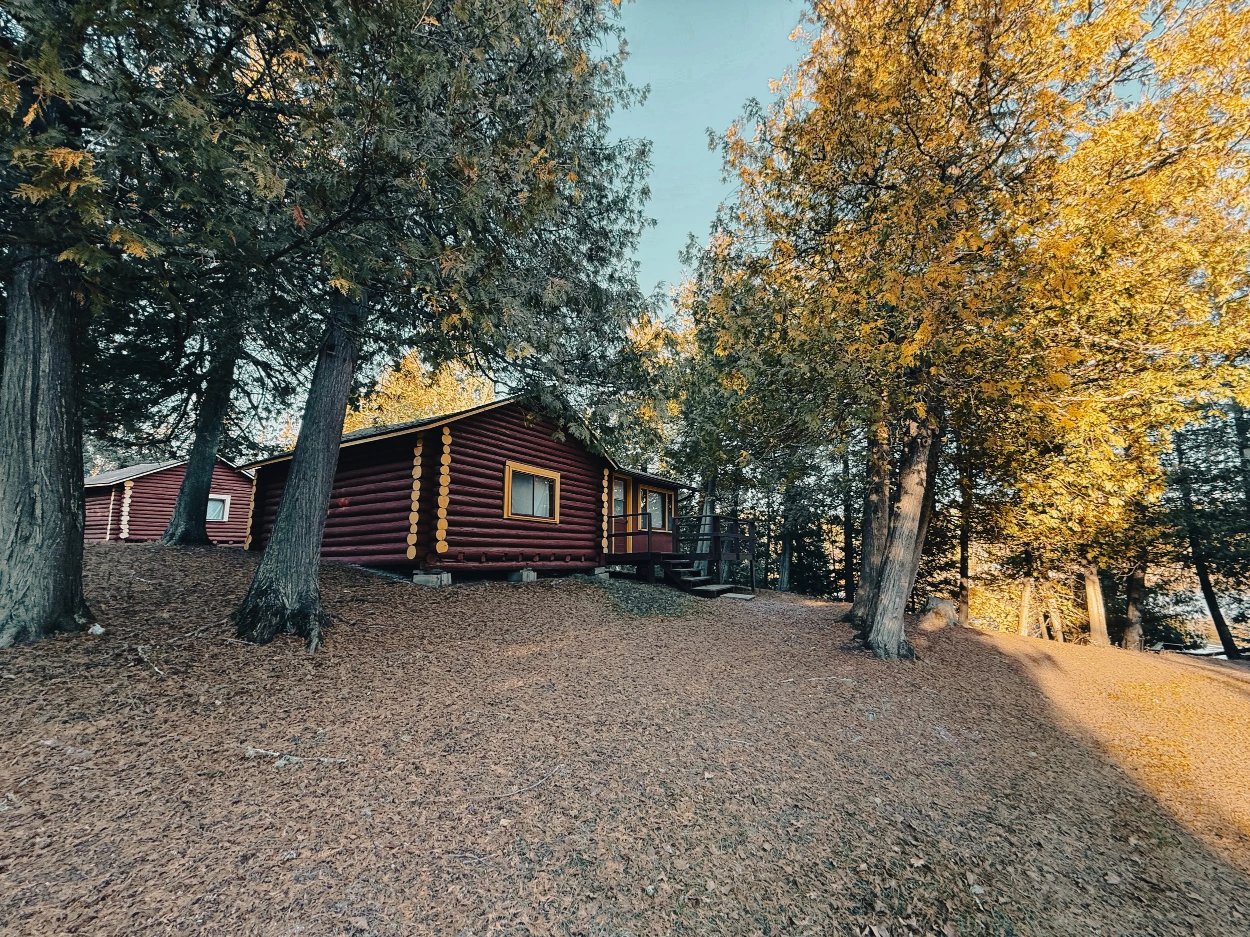 Cabin 3