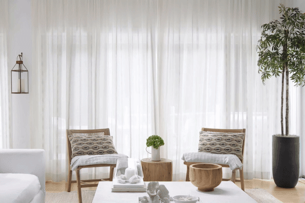 Minimalist living room with two armchairs, a round wooden side table, a potted plant, and sheer white curtains.