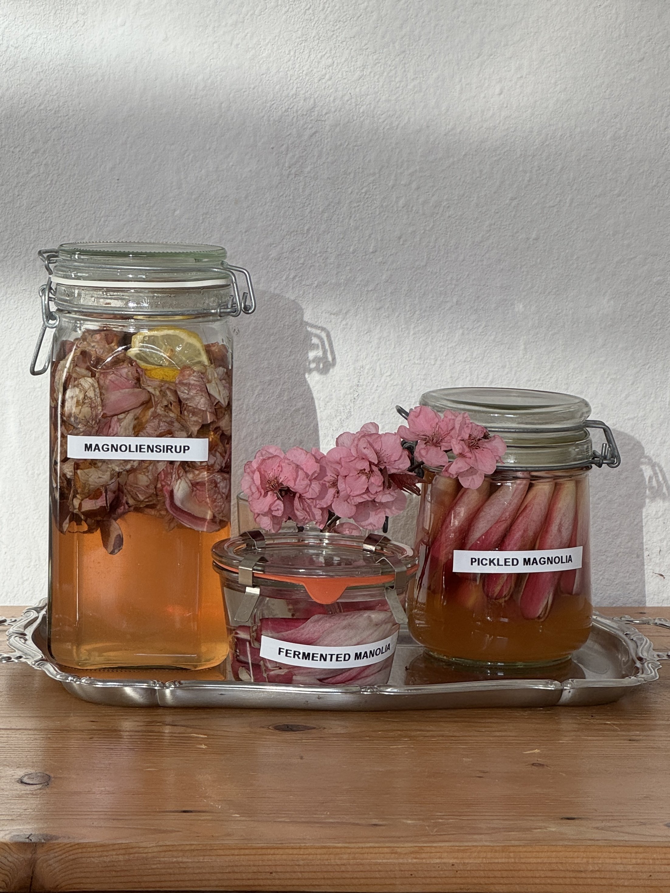 Magnolien, Magnoliensirup, Pickled Magnolia, Fermented Magnolia