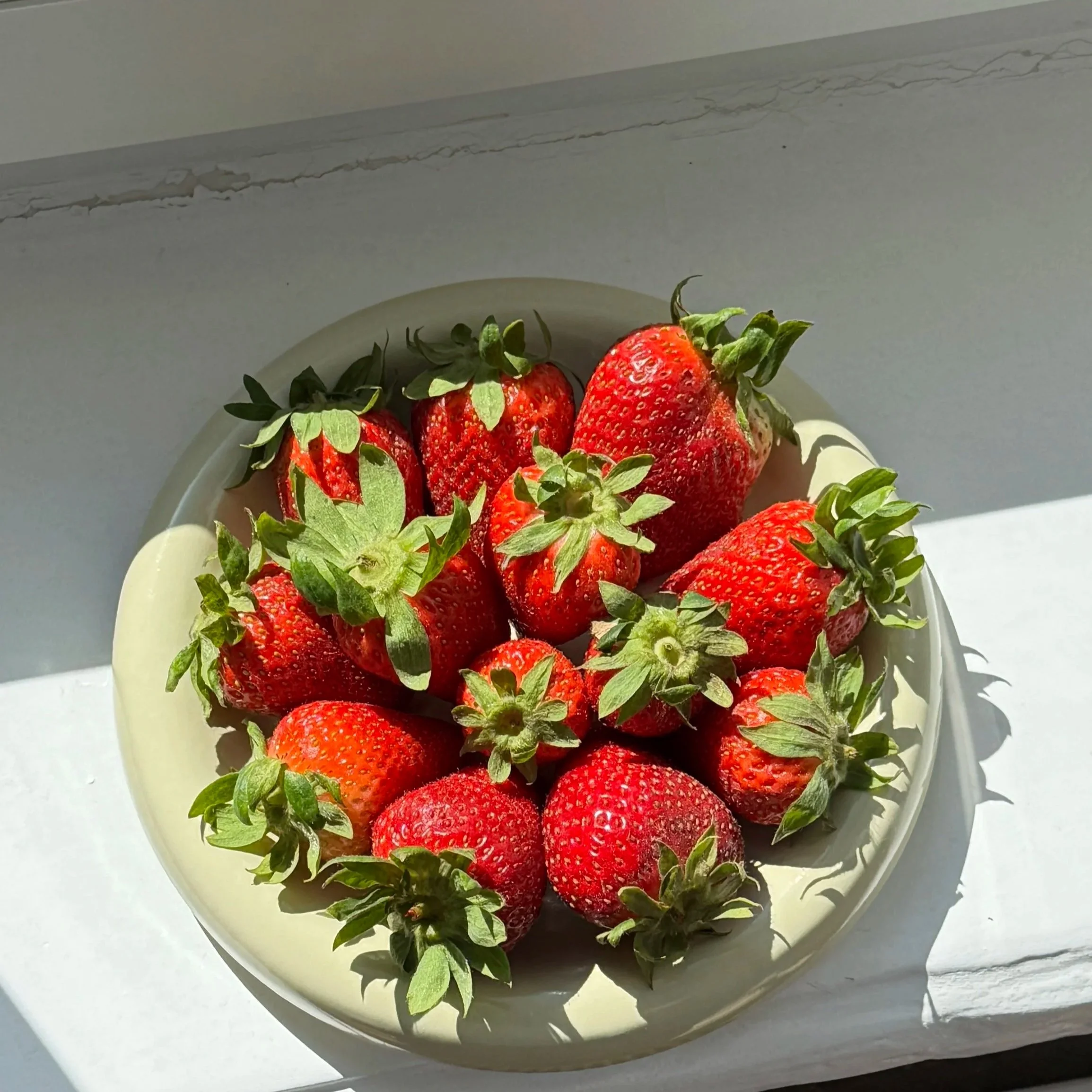 Erdbeeren