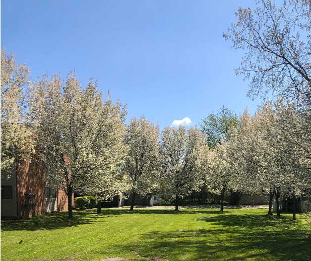 Bradford Square Courtyard 
