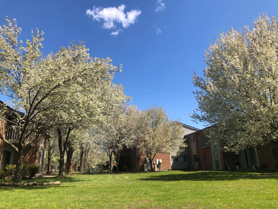 Bradford Square Courtyard 
