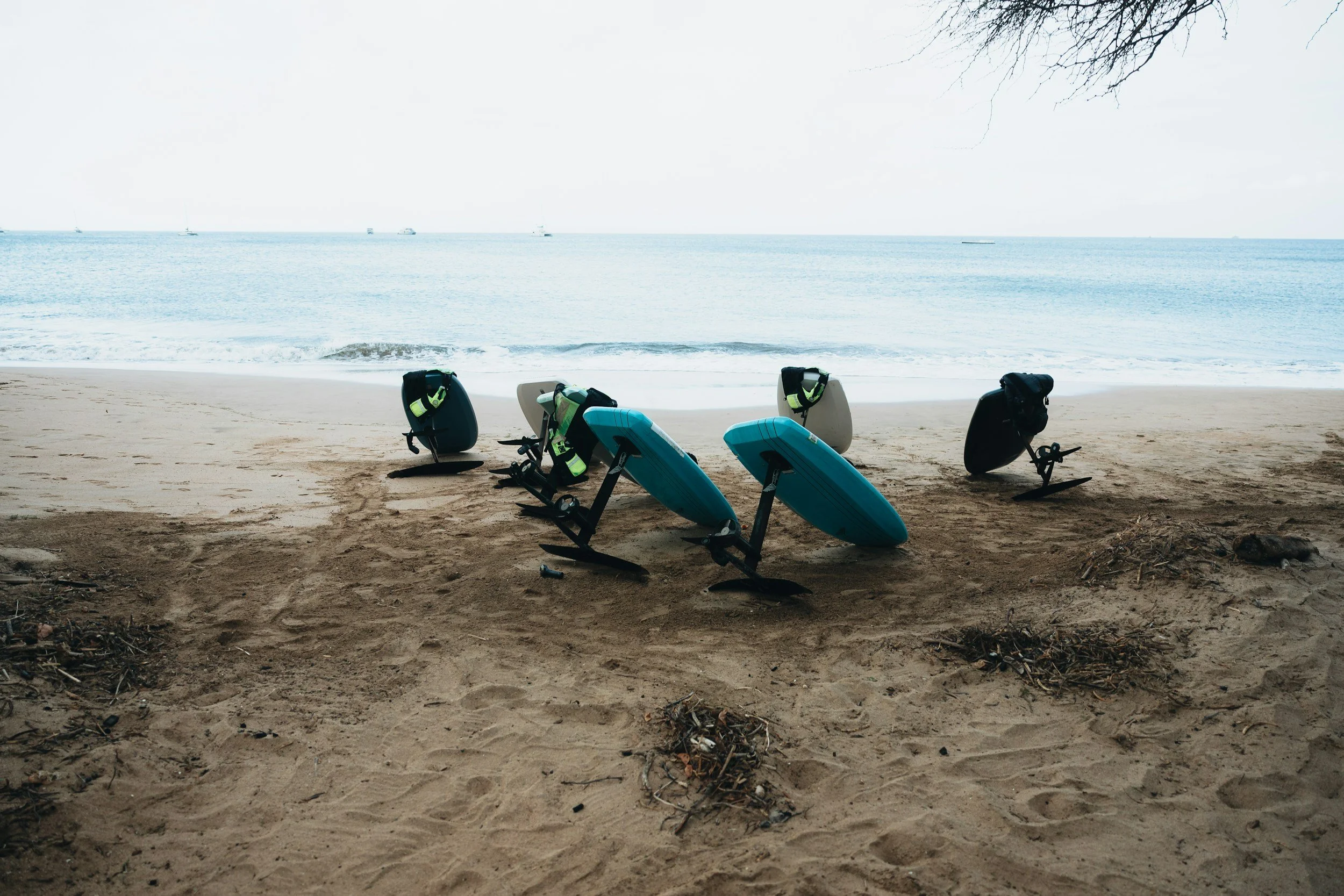 Several stand-up paddleboards and backpacks lined up on a sandy beach near the shoreline with sailboats sailing on calm water in the background.