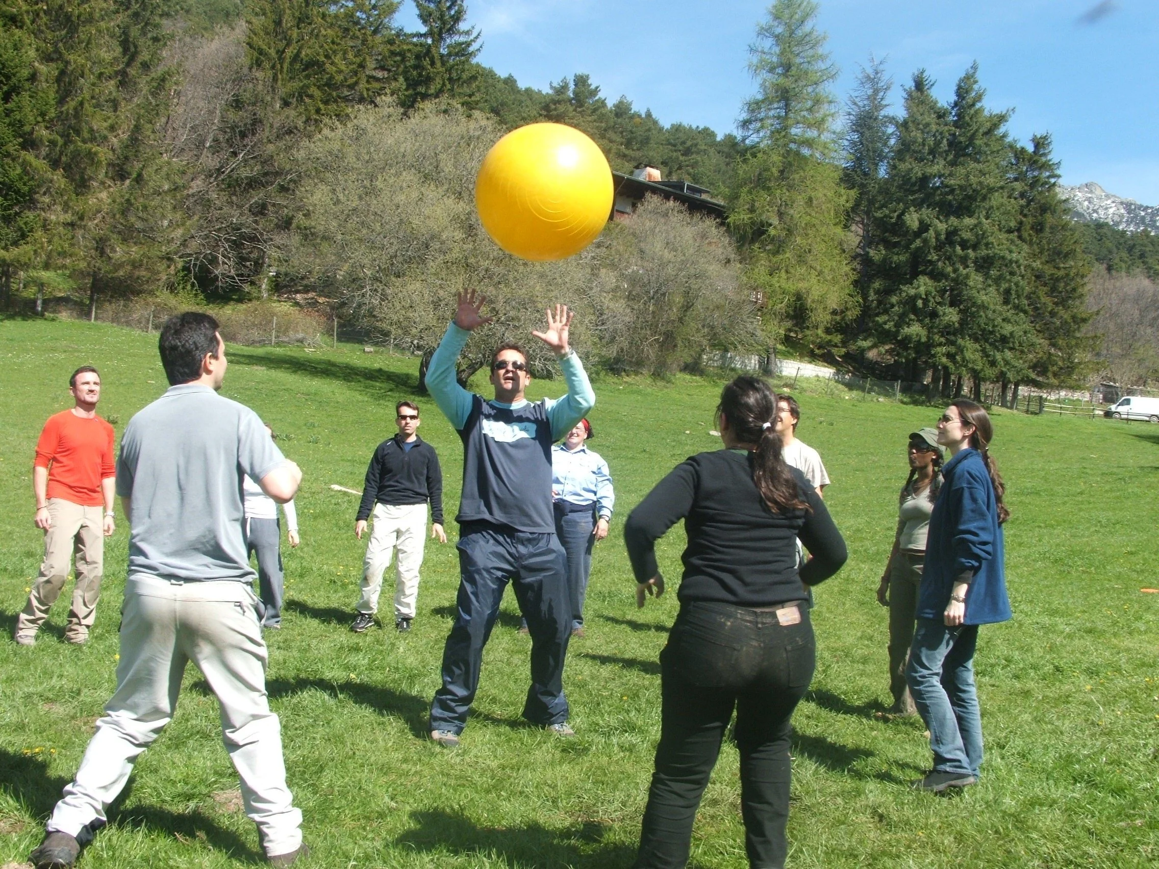 Group of people outdoors playing with a yellow ball, some reaching to catch it, on a grassy field surrounded by trees.