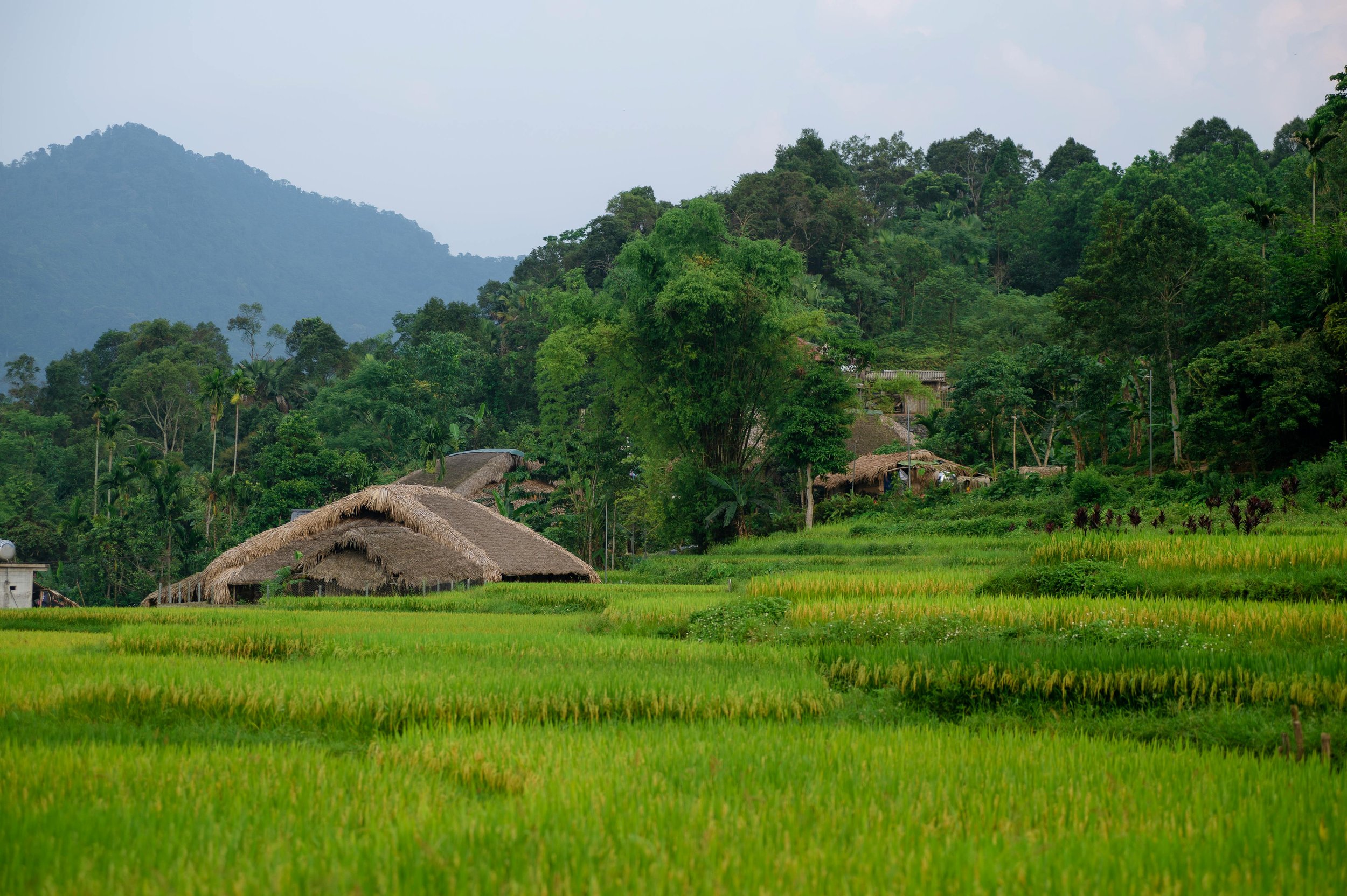 4 Days 3 Nights Ha Giang Loop