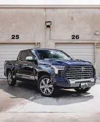 Gold Exterior Detail- SUVs and Trucks